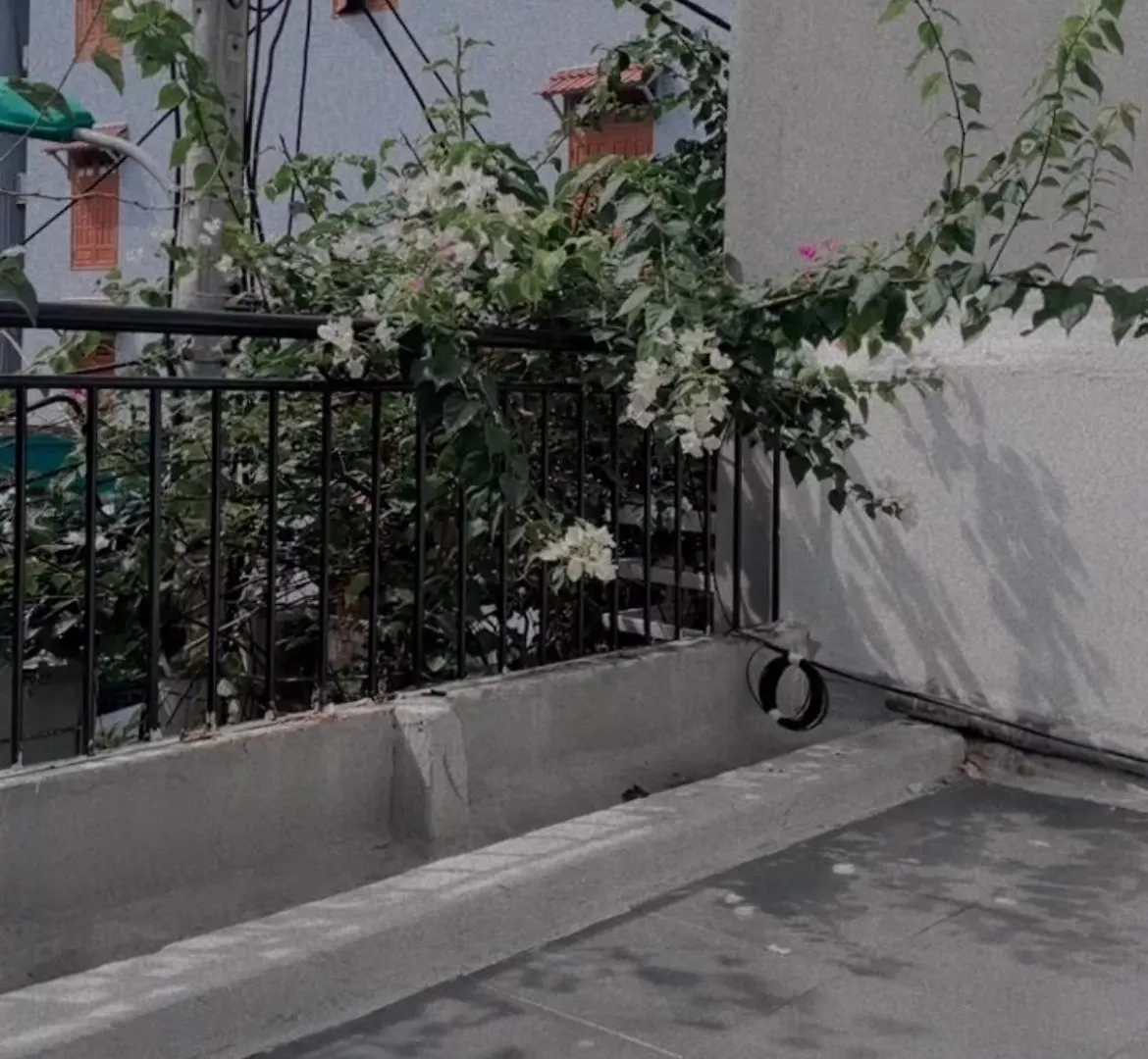 Close To The Sea I Garden House I Hidden Gem In Dn Da Nang Vietnam